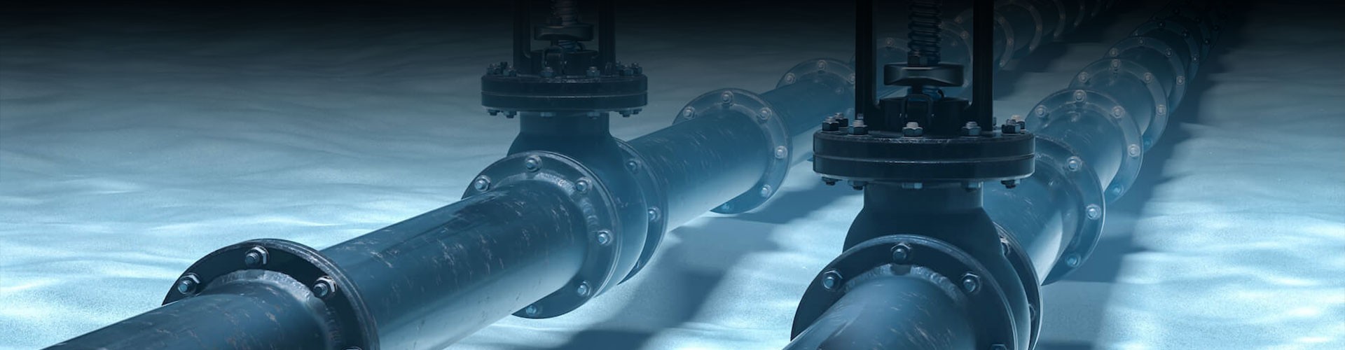Ball Check Valve