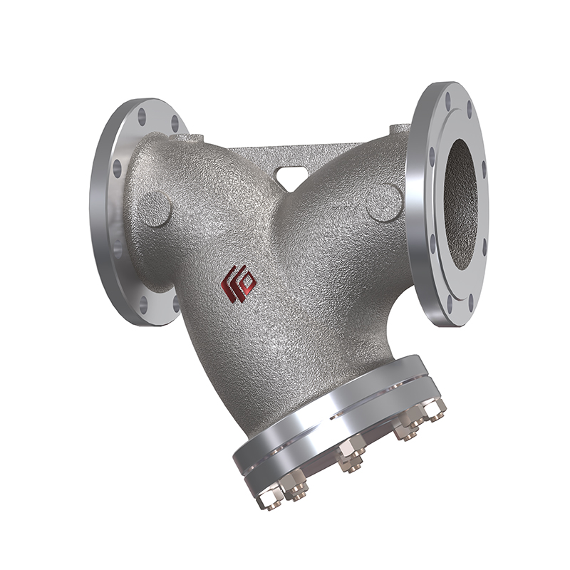 Y strainer