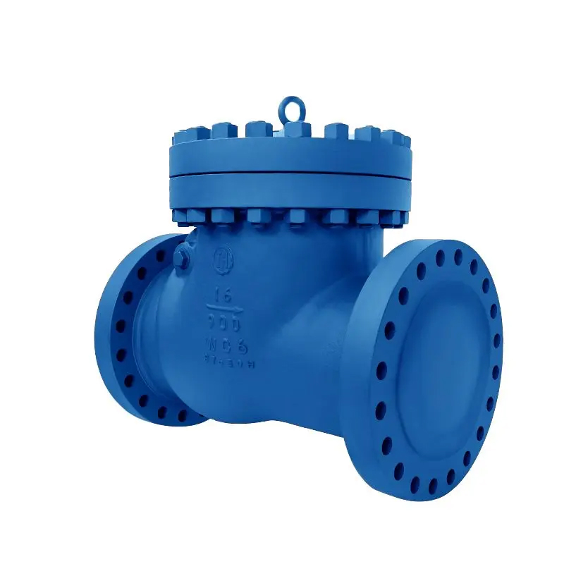 American Standard Bolted Bonnet Check Valve (swing Type).jpg